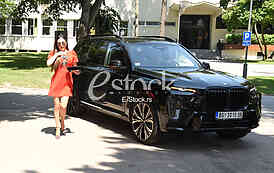 Svetlana Ceca Raznatovic