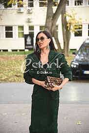 Svetlana Ceca Raznatovic