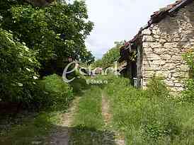 Village