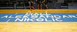 PionirAlkesandar Nikolic