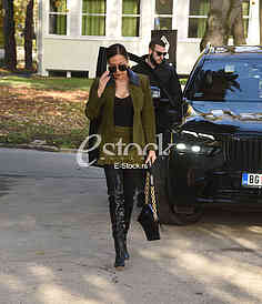 Svetlana Ceca Raznatovic