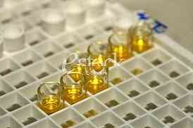 Laboratory