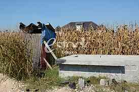 House of singer Seka Aleksic in the middle of a corn field in Stara Pazova