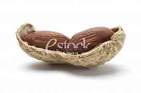 Peanut