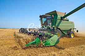 Agriculture