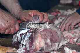 Pig slaughter