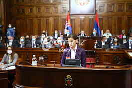 Ana Brnabic