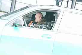 Desingerica Nevena Despic