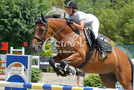 Equestrian Sport