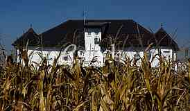 House of singer Seka Aleksic in the middle of a corn field in Stara Pazova