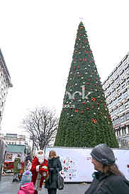 Christmas tree