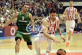 Red Star- Panathinaikos basketball game