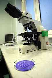 Laboratorija