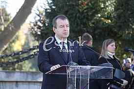 Dan primirja u Prvom svetskom ratu