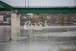 Flood