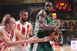CRVENA ZVEZDA vs PANATHINAIKOS ATHENS