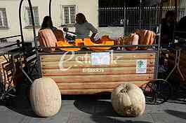 competition for the heaviest pumpkin, and for the most beautiful piece of pumpkin, market Zemun
