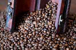Coffee beans