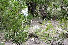 Place where he found the corpse of a Chinese citizen