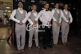 Stefan Papic Brat Pelin