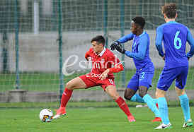 SERBIA vs HOLLAND