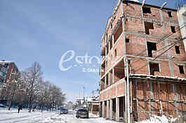 Veronica and Dragan committed suicide in Borca