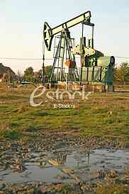 Oil