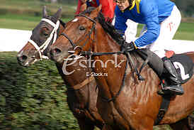 Ljubicevo Equestrian Games
