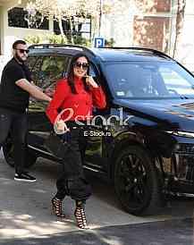 Svetlana Ceca Raznatovic