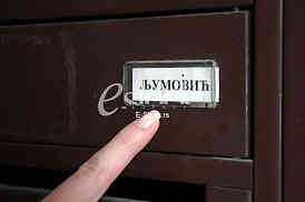 Branimir Ljumovic was killed in Resavska Street.
