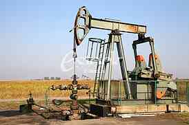 Oil