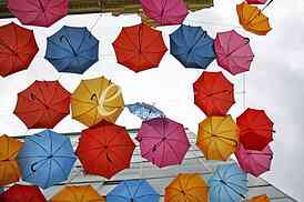 umbrellas in different colors 