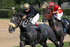 Ljubicevo Equestrian Games
