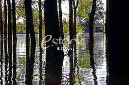 Tamis poplave