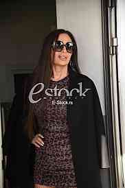 Ceca Raznatovic