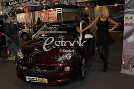 The Car Show