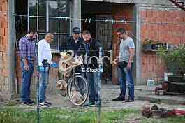 MURDER JELENE MARJANOVIC Police and forensic experts looking for new witnesse