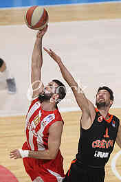 CRVENA ZVEZDA vs CEDEVITA ZAGREB