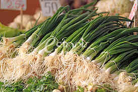Mladi luk na pijaci, Onions on market
