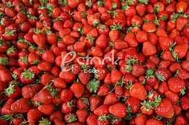 Strawberry fresh natural juicy strawberries to background on the street market
