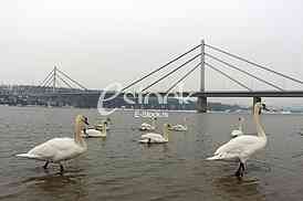 River Danube