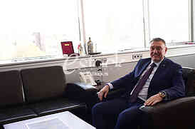 Dejan Cika