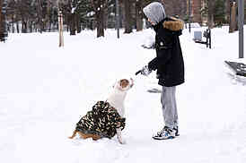 winter