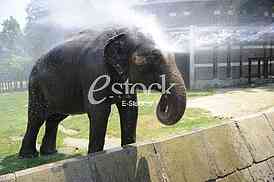 Belgrade zoo on summer day