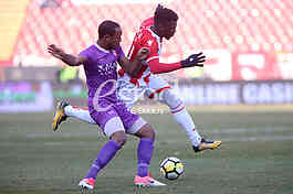 CRVENA ZVEZDA vs JAVOR IVANJICA
