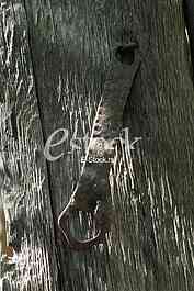 Wooden door