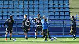 Training of Sweden national football