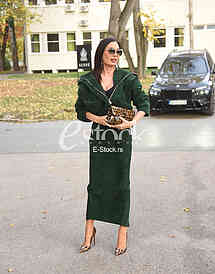 Svetlana Ceca Raznatovic