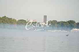 Zaprasivanje komaraca