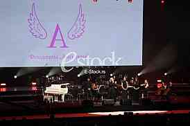 Fondacija Angelina humanitarni koncert